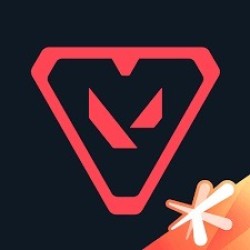 Valorant Points — a virtual credit for purchasing in-game items on the Valorant gaming platform.